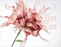 2代快净味全效墙面漆